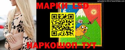 круглые Кингисепп