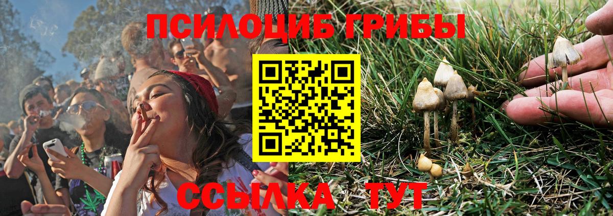 Галлюциногенные грибы MAGIC MUSHROOMS Казань